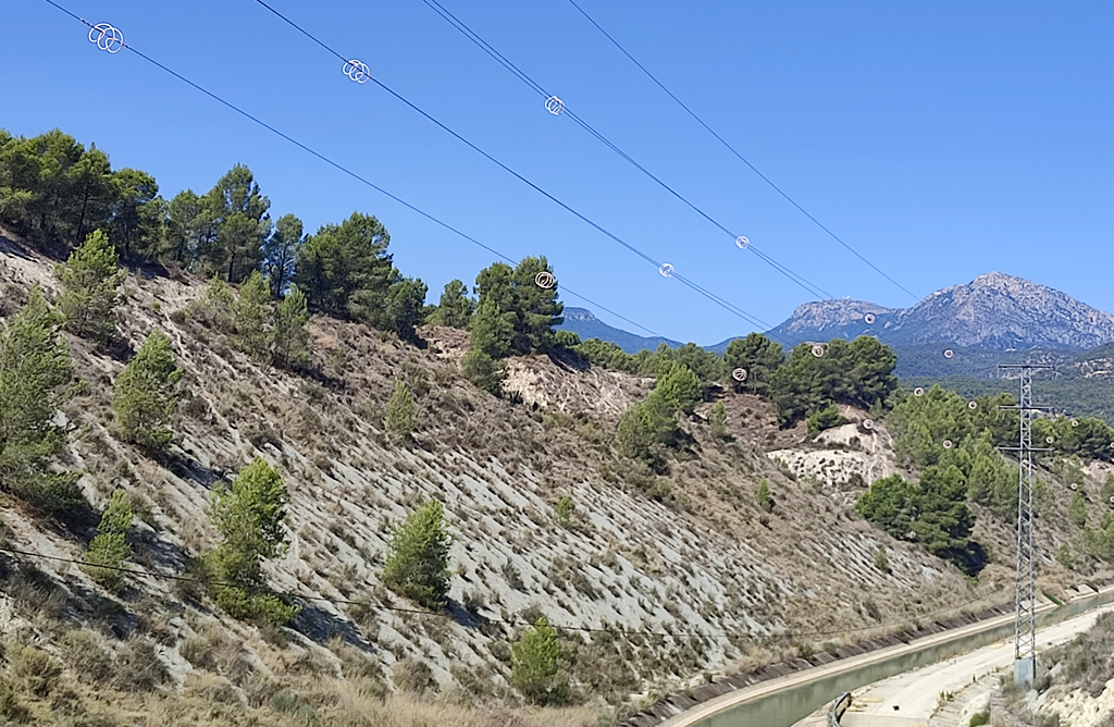 La CHS instala medidas protectoras para las aves en las lneas elctricas del embalse de Alfonso XIII